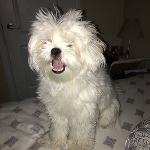 Meet your Posher, Juliana